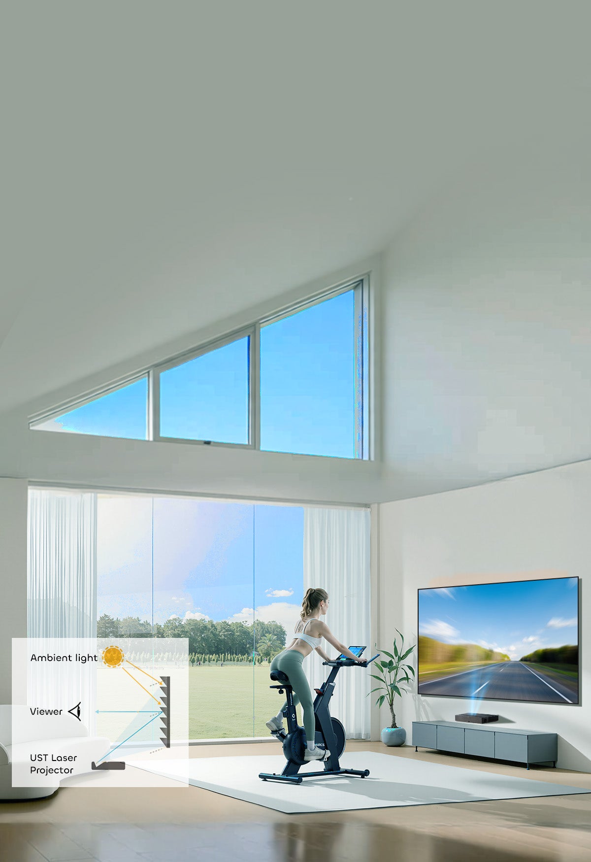 NP Classic ALR Fixed Screen Technology Explained - Layered Surface Reflects Projector Light, Blocks Ambient for UST Systems