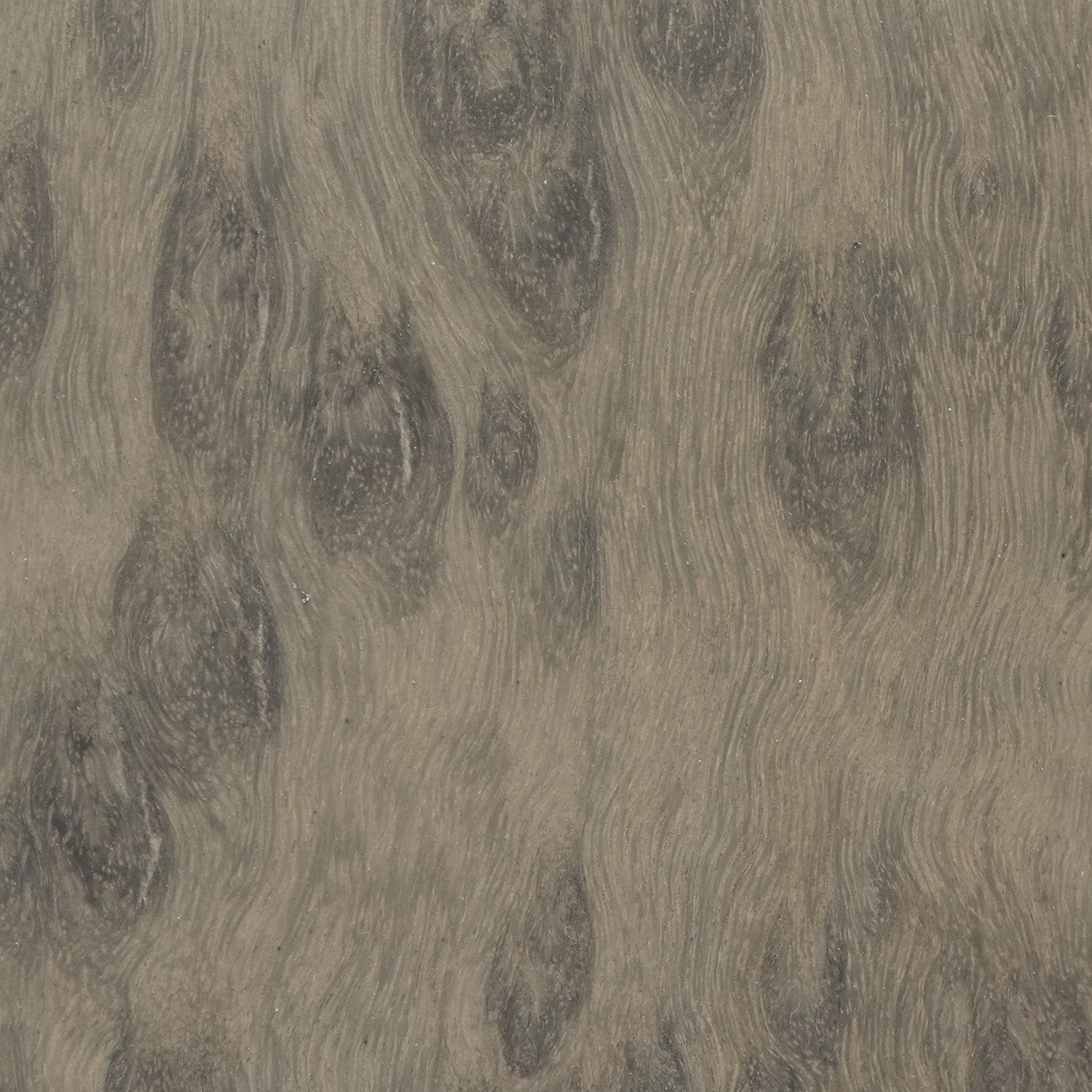 100"-150" Premium Customizable Motorised Laser TV Cabinet for Ultra Short Throw Projector (Pre-Assembled)