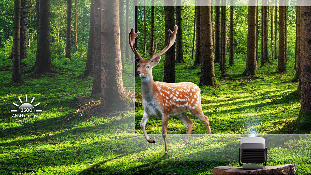 JMGO N1S Ultimate's 3300 ISO lumens create radiant brightness that merges screen with reality for total immersion