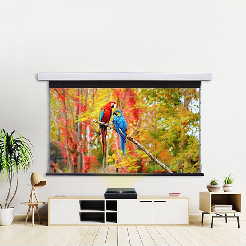 NothingProjector Black Serise Slimline Motorized Tension Drop Down ALR Projector Screen - Nothingprojector