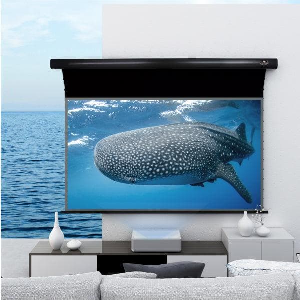 VIVIDSTORM PRO Slimline Motorized Tension UST ALR Projector Screen - Nothingprojector