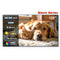 120 inch NothingProjector Black Series ALR Ultra Short Throw Projector Screen