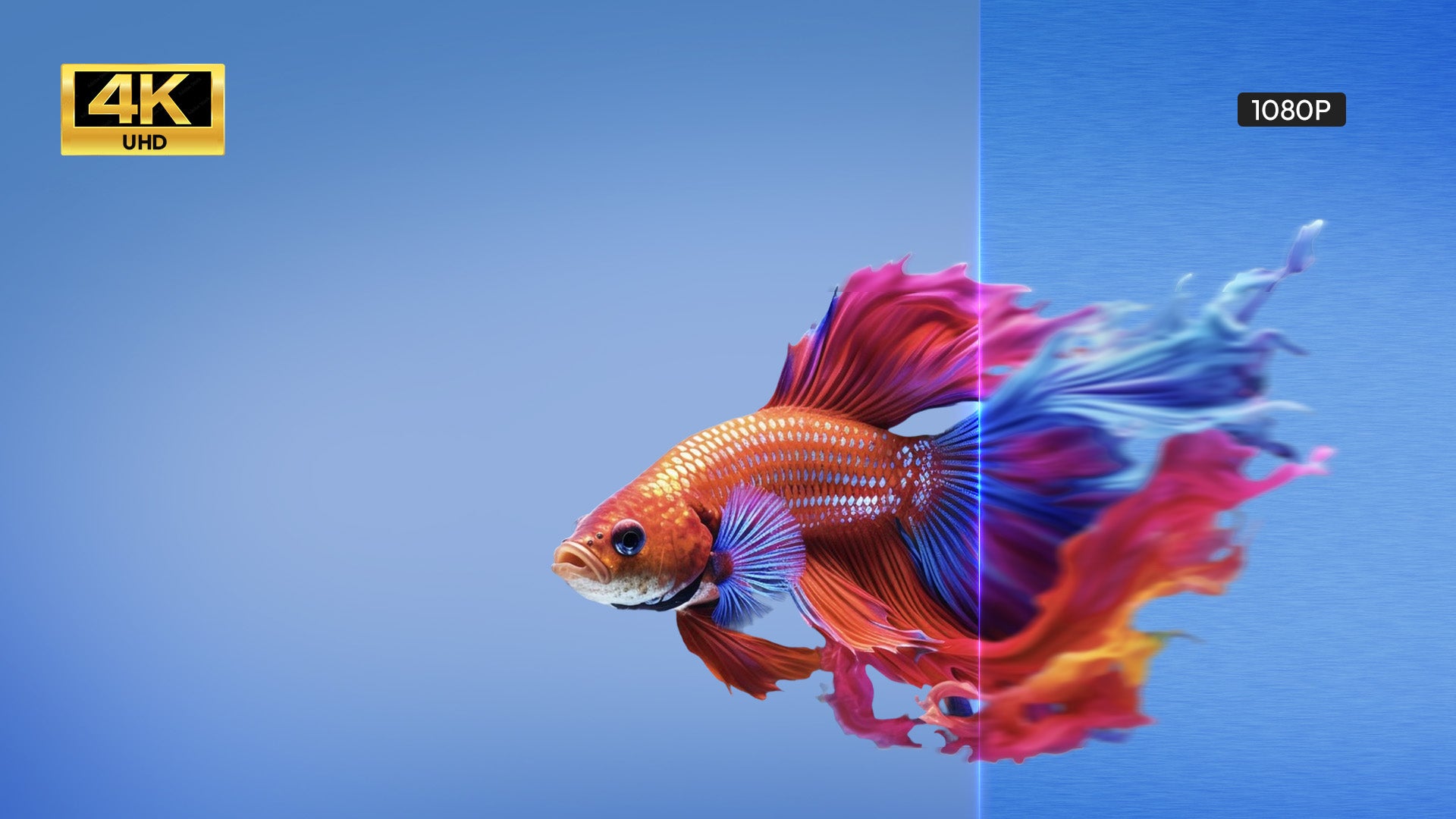 NothingProjector Classic PET Crystal UST ALR Screen delivers 8K clarity for hisense L9Q 4K laser home cinema