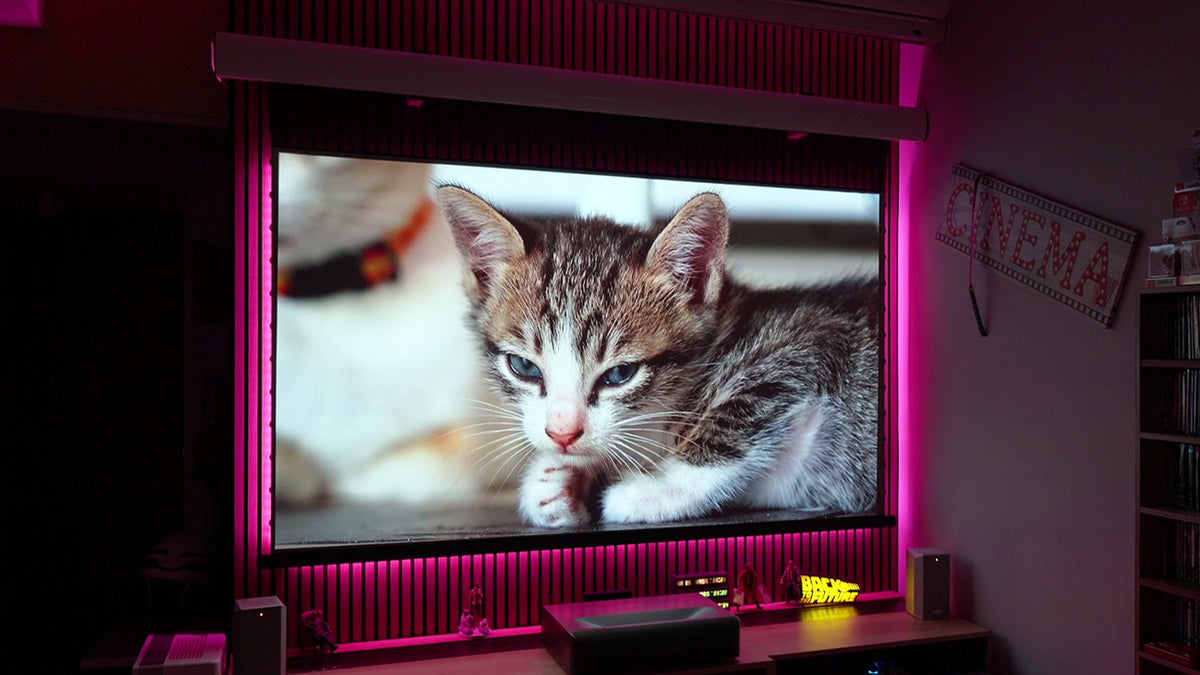 The Best VFM Motorized ALR Screen — @ProjectorJunkies